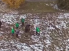 Сотрудники магазина в Киселевске самостоятельно поймали вора