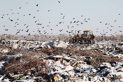 Начаты поиски жертвы жестокой расправы на мусорном полигоне в российском регионе