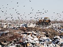 Начаты поиски жертвы жестокой расправы на мусорном полигоне в российском регионе