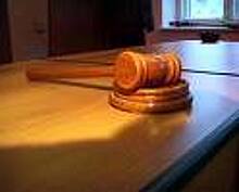 Суд вынес приговор по делу о незаконной рубке леса в Тамбовской области