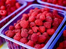 Иммунолог Чернышова рассказала, эффективны ли народные средства при простуде