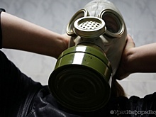 Приструнить псевдоэкологов поможет буква закона