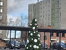 Челябинцы порадовались новогодней елке на траве