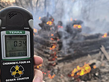 Проклятье Ирины Фарион: почему горит Чернобыль