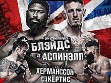 Столкновение в тяжелом весе. Где смотреть UFC Fight Night 208