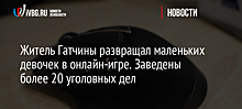 Житель Гатчины развращал маленьких девочек в онлайн-игре. Заведено более 20 уголовных дел