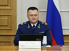Краснов сообщил о возбуждении уголовных дел из-за хищений при нацпроектах на 4,5 млрд рублей