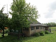 Ветхие избушки купили мошенники четырем алтайским семьям на маткапитал