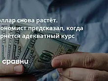 Доллар снова растёт. Экономист предсказал, когда вернётся адекватный курс