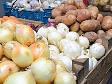 Роспотребнадзор проверил качество волгоградской овощной продукции