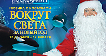 В «Москвариуме» на ВДНХ покажут новогодний мюзикл с морскими животными и цирковыми артистами