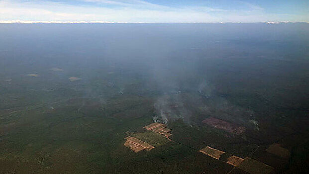 В Забайкалье смог от пожаров сохранится до 5 августа, заявили метеорологи