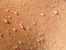 Учёные разработали устройство для контроля здоровья по поту