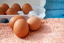 В России назвали условия для снижения цен на яйца