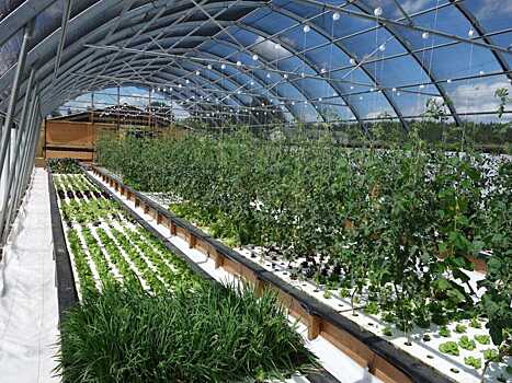 Во Франции построят крупную аквапонную ферму