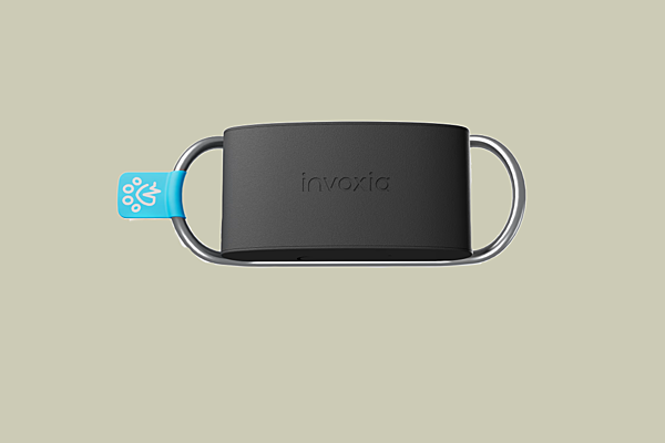 Invoxia pet top