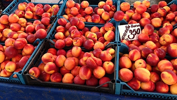 Россельхознадзор заинтересовался растущим импортом персиков из Казахстана