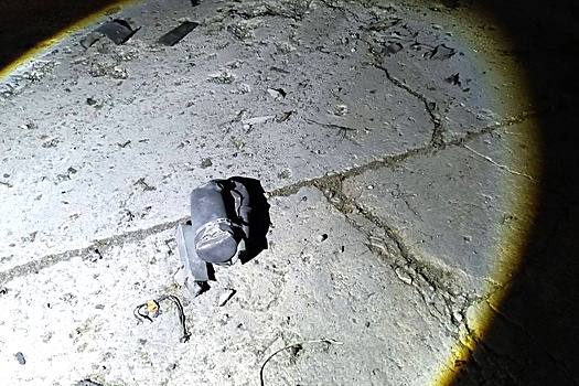 В Подмосковье бабушка и внук погибли при атаке БПЛА