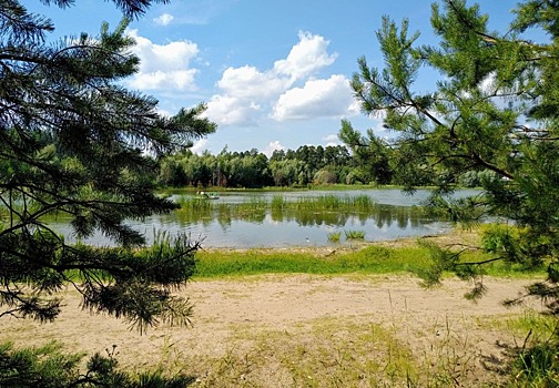 Эксперт назвал два самых грязных водоема в Казани