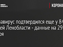 Коронавирус подтвердился еще у 84 жителей Ленобласти - данные на 29 октября