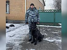 В Республике Тыва служебная собака помогла оперативникам по горячим следам задержать подозреваемых в двух кражах
