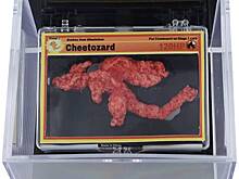 Кусочек чипсов Cheeto продали с аукциона за восемь миллионов рублей