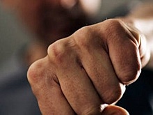 Безработный москвич за плохое поведение до смерти избил кота своей сожительницы