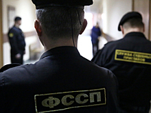 В России предложили внедрить частных судебных приставов