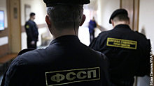 В России предложили внедрить частных судебных приставов