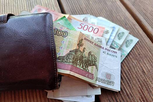 Среднедушевые доходы россиян за год подсчитали