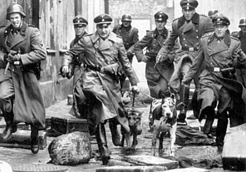 Почему Нюрнбергский трибунал не признал гестапо и СС преступными организациями