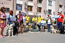 Собаки-поводыри из разных регионов России прошлись по главной улице Оренбурга