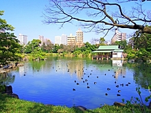 Самые безопасные страны мира для самостоятельных путешествий в 2023 году