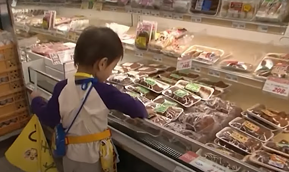 Шоу о двухлетнем ребенке в магазине возмутило японцев