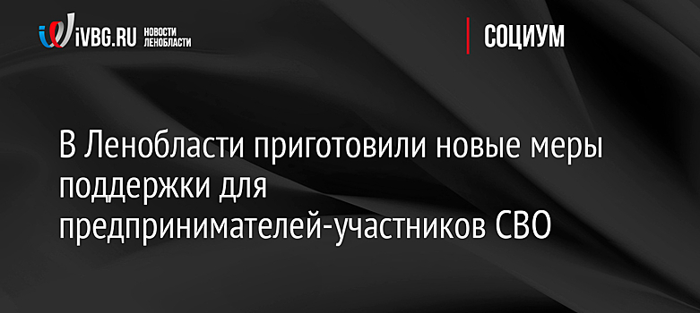 В Ленобласти приготовили новые меры поддержки для предпринимателей-участников СВО