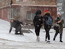 «Дорога напрямую в травму»: владивостокцев предупреждают об опасном спуске в центре города