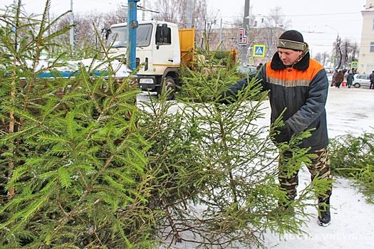 В Луганске ёлочные базары будут работать с середины декабря