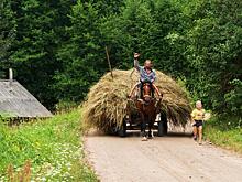 Землю для ДВ-гектаров под Хабаровском не откроют