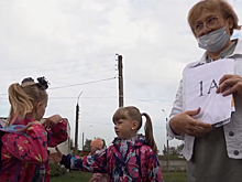 Обучение с ограничениями проходит в городецких школах