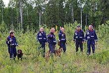 Под Нижним Тагилом нашли пропавшего накануне 10-летнего мальчика