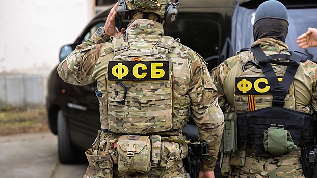 ФСБ предотвратила поджог самолета в аэропорту Владикавказа