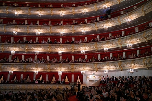 Сергей Зверев ужаснулся отсутствию вкуса у зрителей Большого театра
