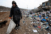 Собянин планирует законсервировать мусорную свалку "Малинки"