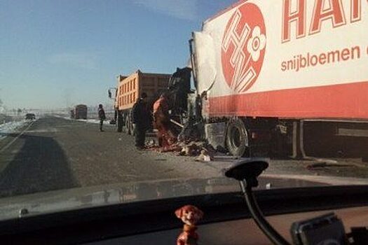 В Забайкалье в аварии погиб водитель