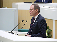 В Совфеде предложили обсудить запрет свободной продажи травматического оружия