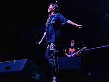 Эльвира Т согласилась выйти замуж за своего парня во время концерта