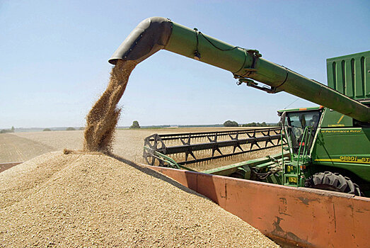 Праздник пшеницы отмечают в Туркмениcтане