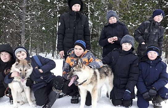 На Ямале особенных детей реабилитируют северные лайки