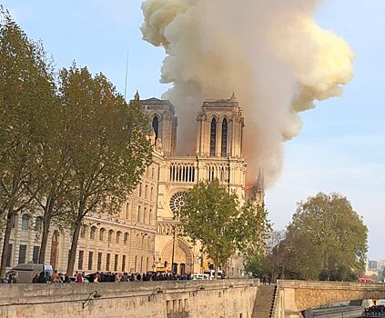Искусствовед — о пожаре в Нотр-Дам-де-Пари и его последствиях