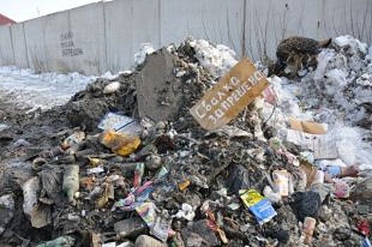 В Прикамье около жилого дома незаконно складировали гниющие овощные отходы